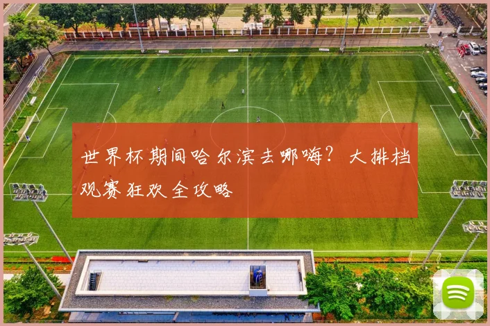 世界杯期间哈尔滨去哪嗨?大排档观赛狂欢全攻略