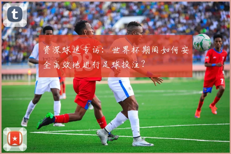 资深球迷专访：世界杯期间如何安全高效地进行足球投注？