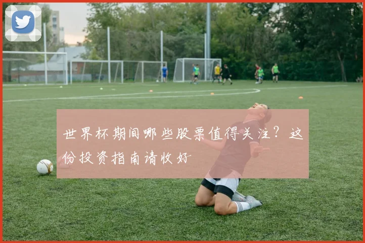 世界杯期间哪些股票值得关注?这份投资指南请收好
