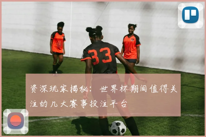 资深玩家揭秘:世界杯期间值得关注的几大赛事投注平台